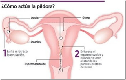 cuando te tomas la pastilla del dia despues te viene la regla cuando te tomas la pastilla del dia despues te viene la regla